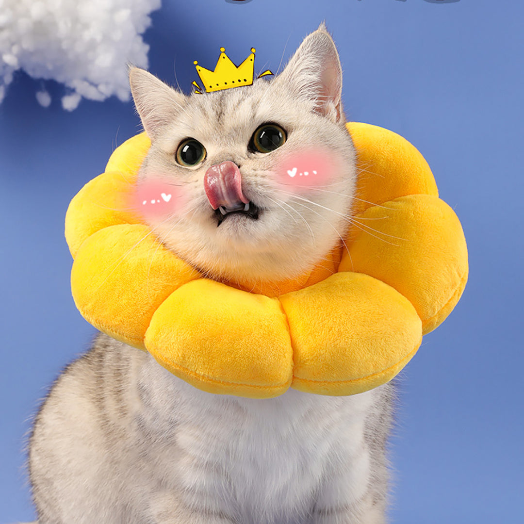 Sunflower Cat Collar - Protective Collar