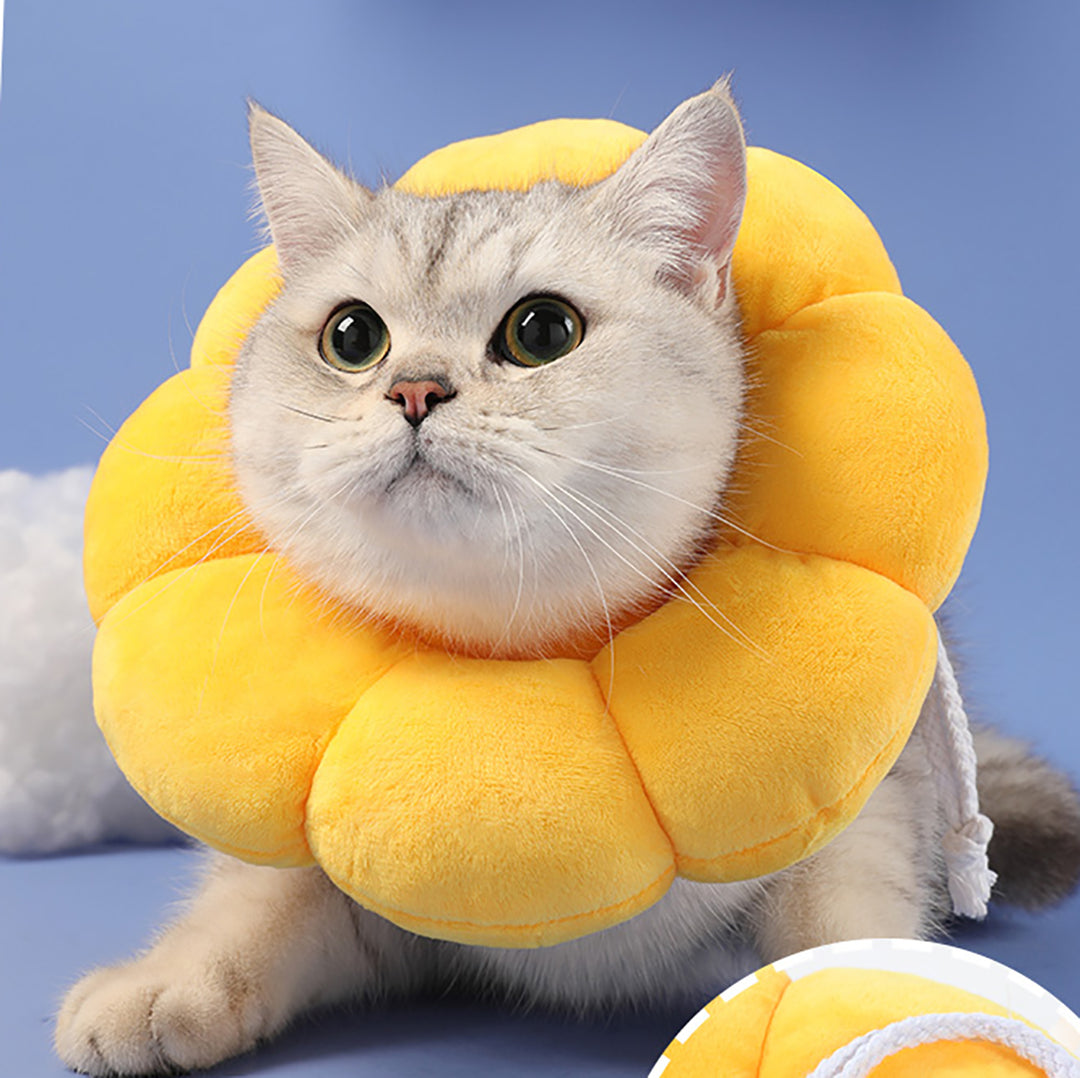 Sunflower Cat Collar - Protective Collar