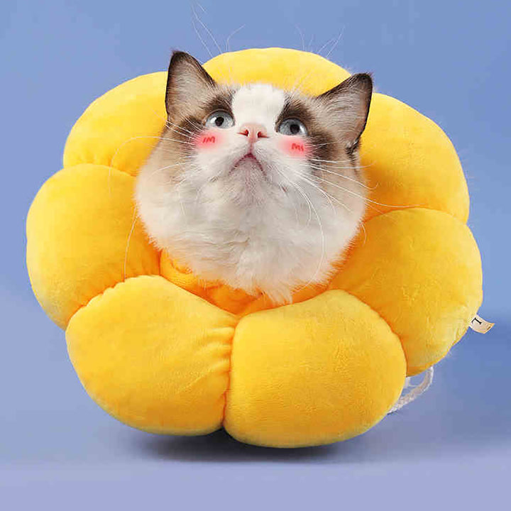 Sunflower Cat Collar - Protective Collar
