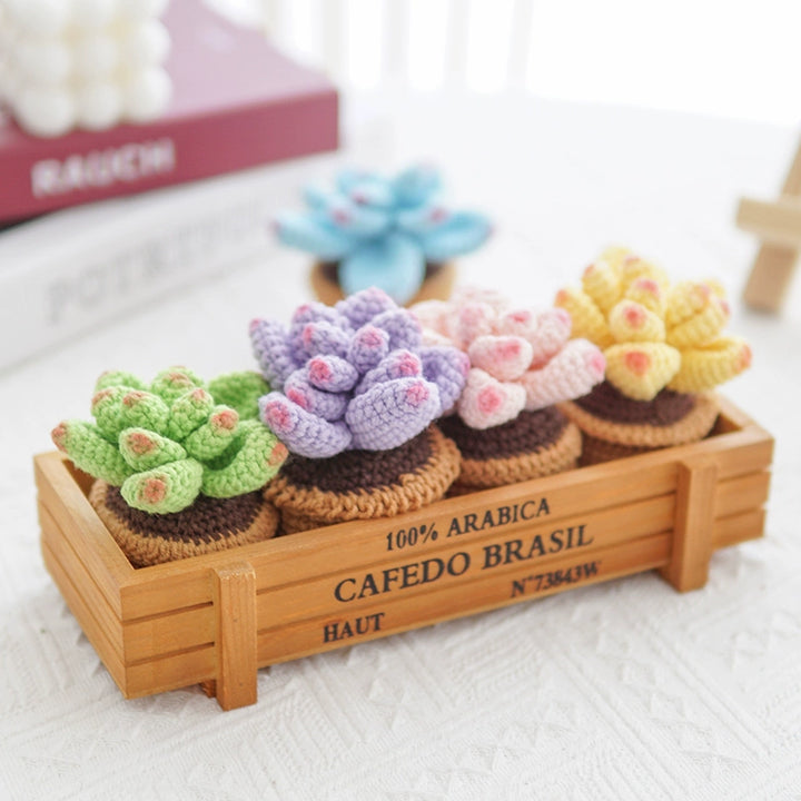 Handmade Crochet Colorful Succulent Potted Plant