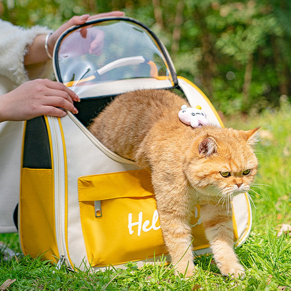 Portable Cat Carrier