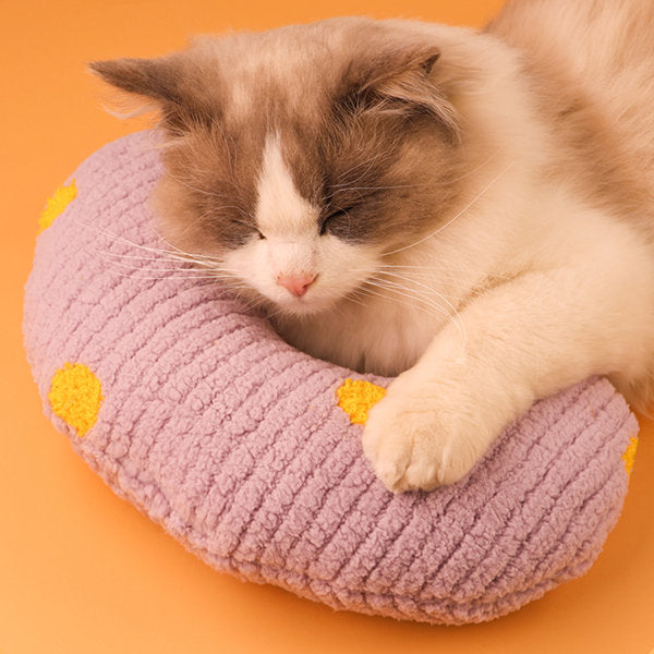 Pillow for Cat