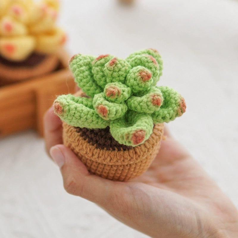 Handmade Crochet Colorful Succulent Potted Plant