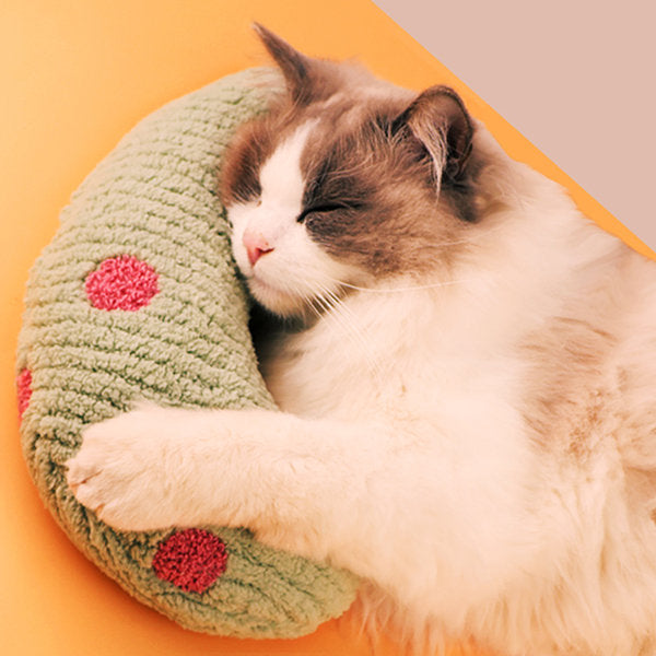 Pillow for Cat
