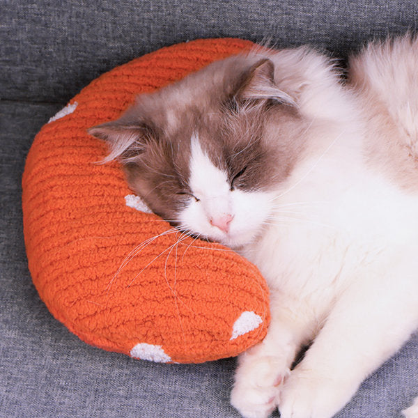 Pillow for Cat