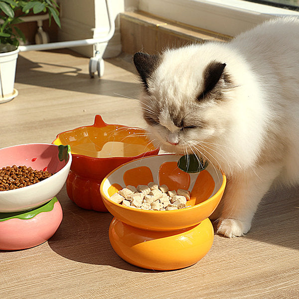 Fruit Cat Bowl