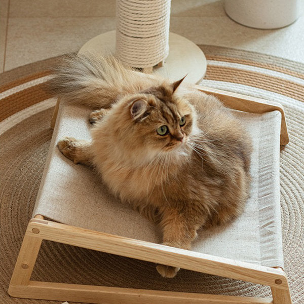 Portable Teakwood Cat Chair