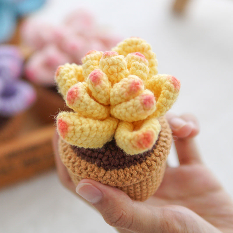 Handmade Crochet Colorful Succulent Potted Plant
