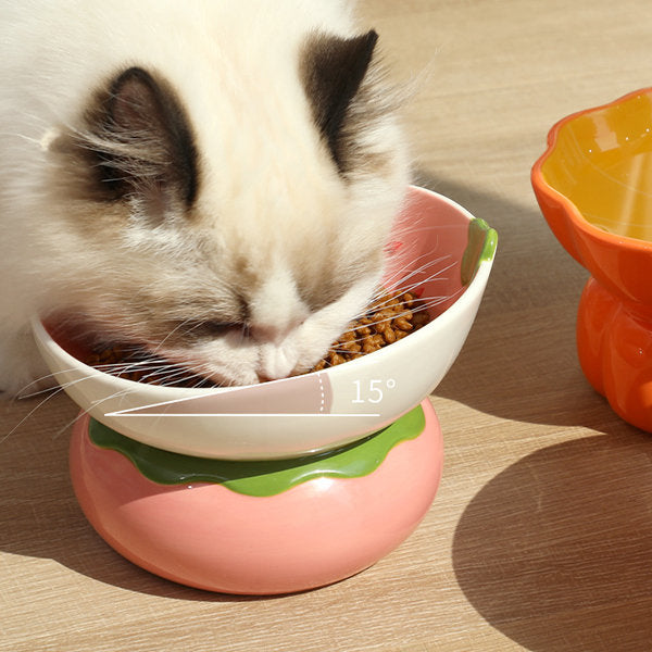 Fruit Cat Bowl