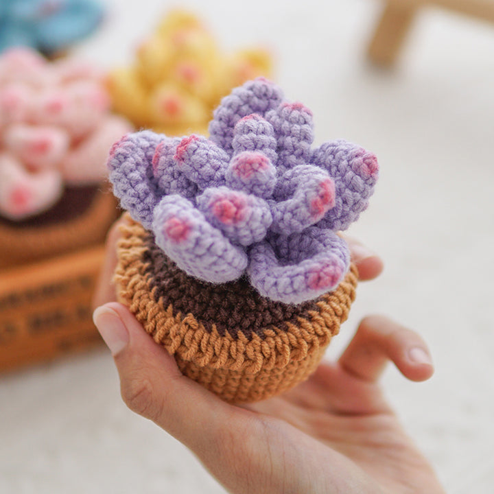 Handmade Crochet Colorful Succulent Potted Plant