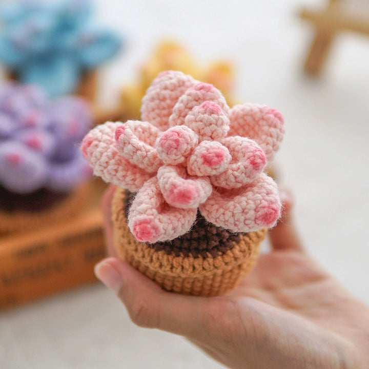 Handmade Crochet Colorful Succulent Potted Plant