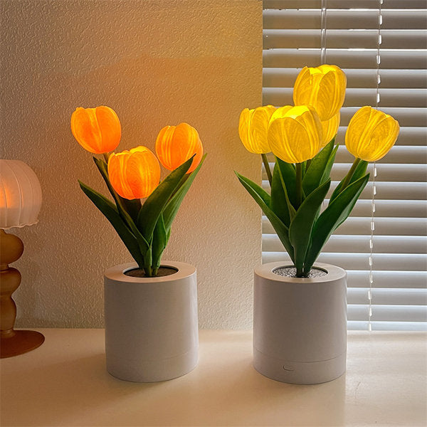 Tulip Table Lamp - Pink - White