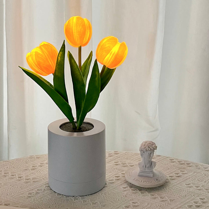 Tulip Table Lamp - Pink - White