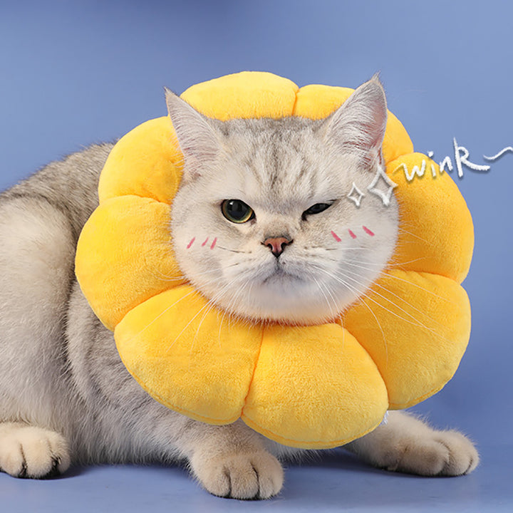 Sunflower Cat Collar - Protective Collar