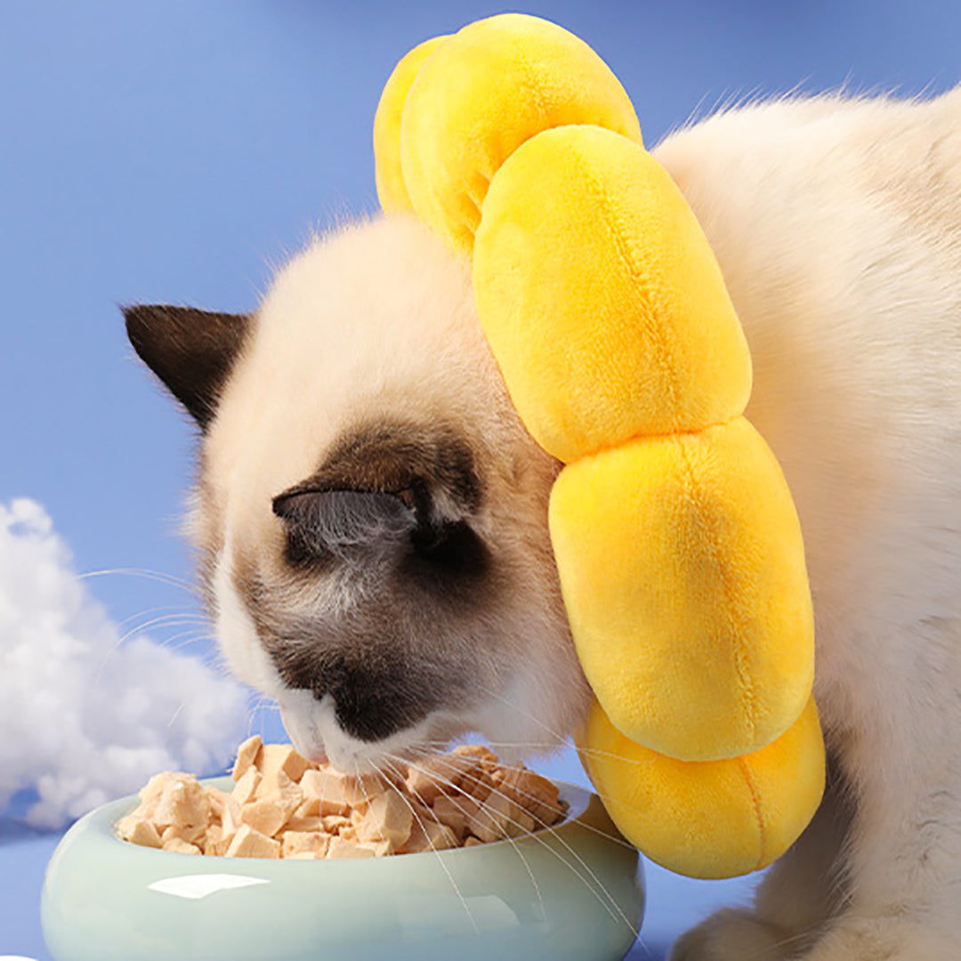 Sunflower Cat Collar - Protective Collar
